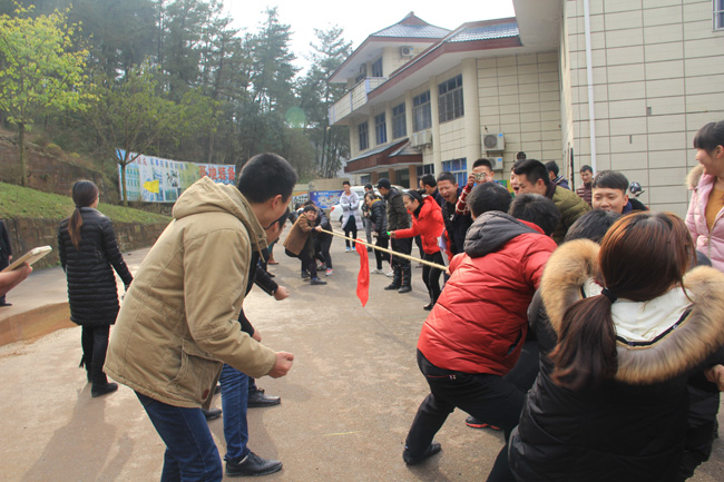 2015������T���L��